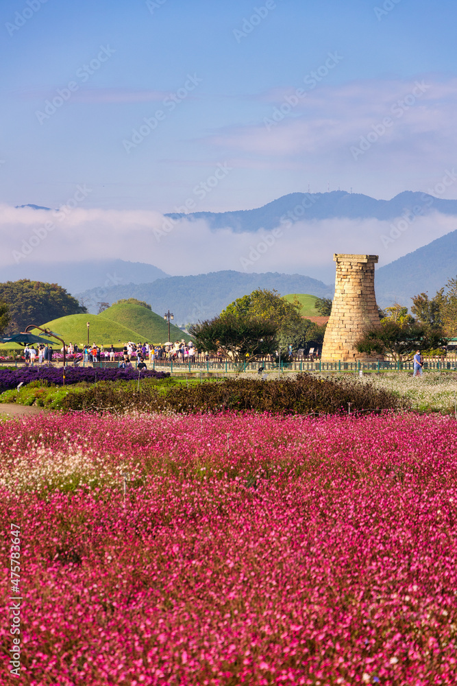 Sticker beautiful field of flowers at cheomgsangdae in gyeongju, south korea