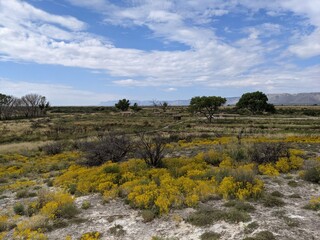 Fototapeta na wymiar New Mexico Landscape