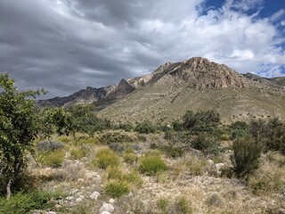 New Mexico Landscape