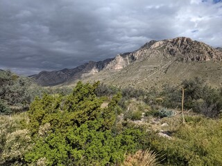 New Mexico Landscape