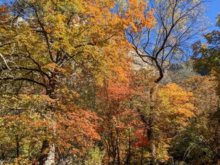 New Mexico Landscape