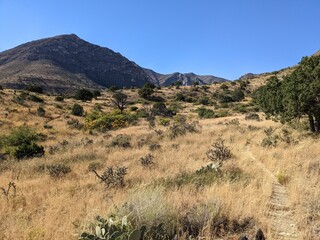 Fototapeta na wymiar New Mexico Landscape