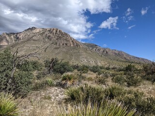 New Mexico Landscape
