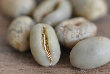 Arabica coffee beans which are polyembryonic in single form, known as Lanang Coffee beans