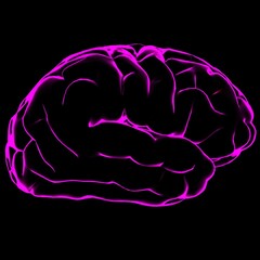 color 3d illustration of human brain with pink glowing outlines on black background