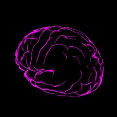 color 3d illustration of human brain with pink glowing outlines on black background