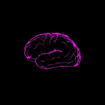 color 3d illustration of human brain with pink glowing outlines on black background
