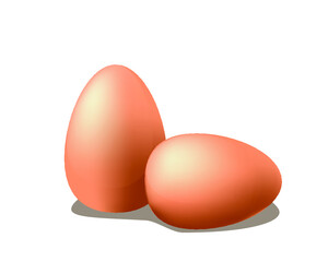 vector realistic eggs. Isolated on white background.