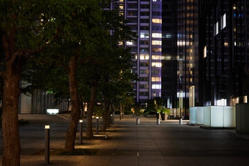 東京の夜景と夜道
