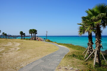 a beautiful seaside landscape with a bridge