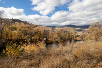 Fototapeta premium dry grass and trees line the Okanagan River on a fall day