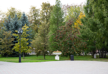 A beautiful path on the central square of the city of Tyumen in autumn