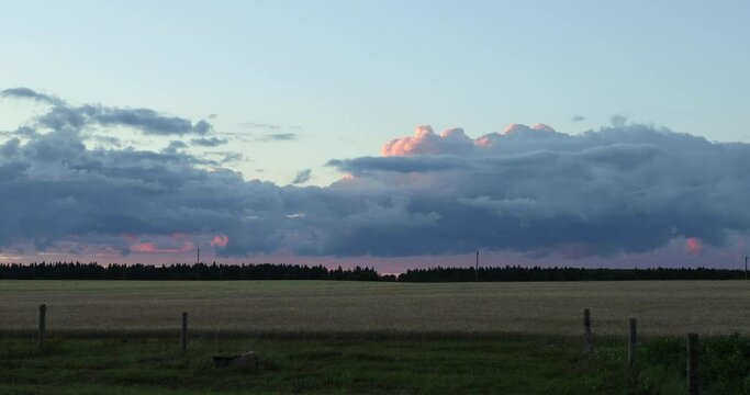 landscapes of the field against the backdrop of the forest and the movement of clouds in the evening time lapse video
