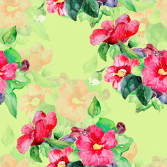 Watercolor picture of hibiscus.Image on white and colored background. Seamless Pattern.