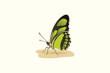Fototapeta na wymiar butterfly logo inspiration, logo design