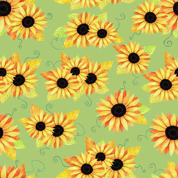 Hand drawn seamless pattern of composition blooming sunflowers and colorful leaves. Decorative autumn watercolor bouquet illustration for design card, invitation, wallpaper, wrapping paper, fabric