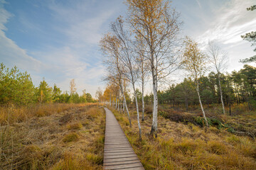 Aukštumala swamp - high swamp in Šilutė district, Pomeranian region. It is one of the largest wetlands not only in Western Lithuania, but also in the whole of Lithuania. Amazing untouched nature.