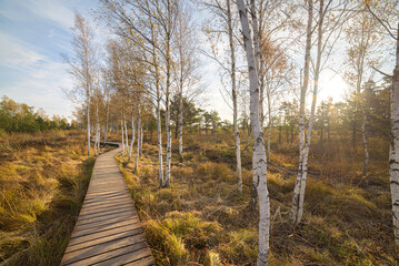 Aukštumala swamp - high swamp in Šilutė district, Pomeranian region. It is one of the largest wetlands not only in Western Lithuania, but also in the whole of Lithuania. Amazing untouched nature.