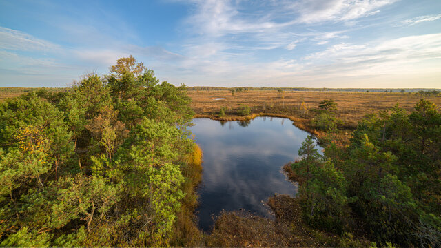 Auk&scaron;tumala swamp - high swamp in &Scaron;ilutė district, Pomeranian region. It is one of the largest wetlands not only in Western Lithuania, but also in the whole of Lithuania. Amazing untouched nature.