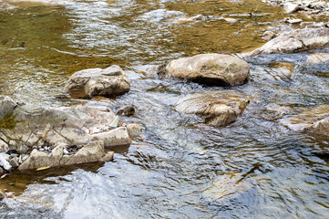 Big boulders in the mountain river. Close up.