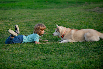 Happy child and dog on grass. Cute boy child with dog relaxing on park. Fun games with pet on summer vacation. Husky dog and child looking each other.