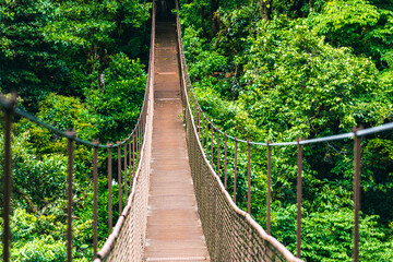 Hanging Bridge Cloud Rainforest Forest in Costa Rica.