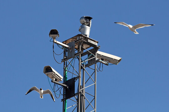 Four surveillance cameras with birds around it.