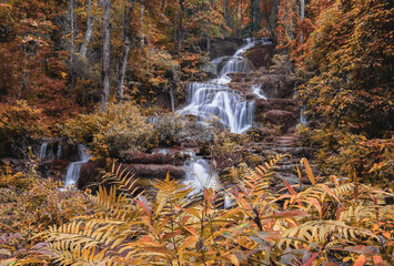 Autumn Waterfall (Imagination)