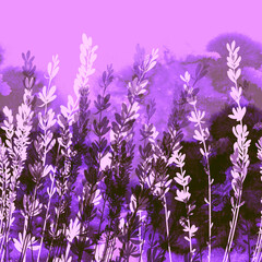 Lavender field tender seamless border. Digital hand drawn picture with watercolour texture. Mixed media artwork. Endless motif for packaging, scrapbooking, decoupage, textiles and more.