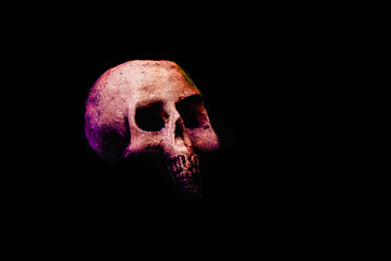 Skull in the hard light