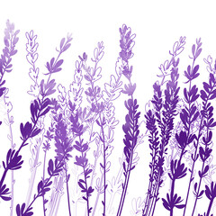 Lavender field tender seamless border. Digital hand drawn picture with watercolour texture. Mixed media artwork. Endless motif for packaging, scrapbooking, decoupage, textiles and more.