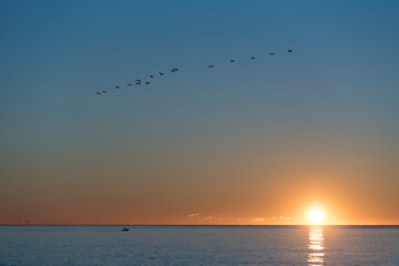 Fototapeta na wymiar Sunrise over the Mediterranean with birds flying