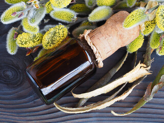 Bark and twigs with fluffy yellow willow tree inflorescences, drink in a bottle on a wooden background, flat layout. Salix medicinal plant with salicylic acid for use in medicine and homeopathy © Елена Захарова