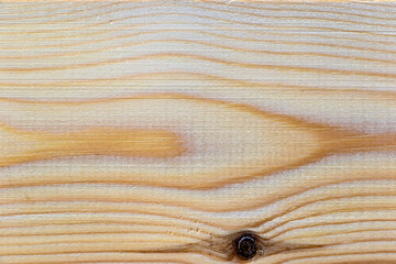 Textures and layers of wood