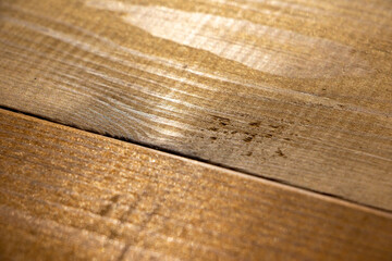 Texture of wood in sunlight