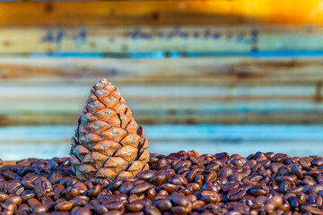Pine fruit and coffee beans