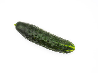 pimpled cucumber isolated on white background