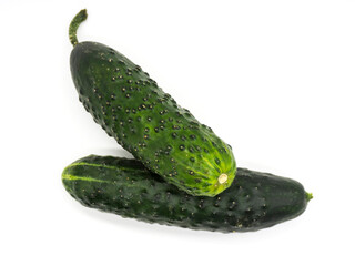 pimpled cucumber isolated on white background
