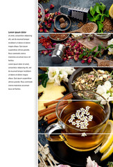 Obraz na płótnie Canvas Collage of various kinds of herbal tea.