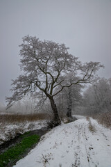 river in winter path (Brandenburg, Germany) 