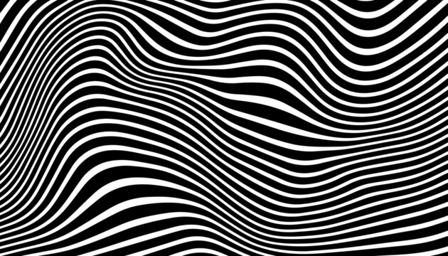 Abstract zebra print texture background. Black and white African animal skin. Vector illustration. © shamanviiii