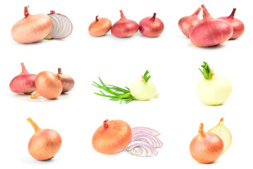 Set of Bulb of onion isolated on a white background cutout