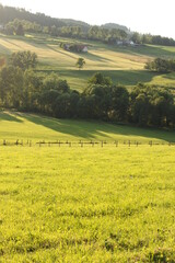 Fototapeta premium summer mountain landscape with meadow and forest, green nature background