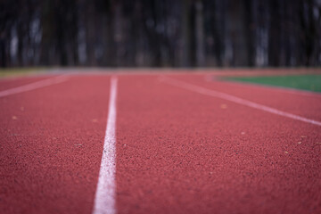Close-up texture of a running track in a stadium.