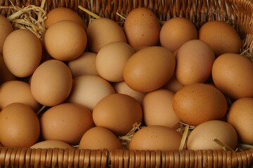 Chicken eggs of natural brown color on straw in a basket. Poultry eggs.