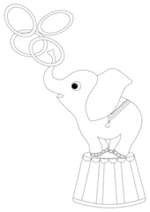 cute baby elephant throws rings in the circus.