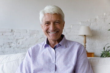 Portrait of smiling handsome hoary middle aged old 70s retired man sitting on couch at home. Happy...