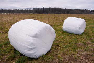 A haystack packed for winter in the field