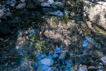 natural spring with clear water among the stones in the forest