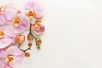 Foto op Plexiglas Pink orchid theme objects on pastel background. © gitusik
